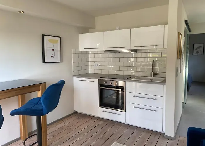 Stilvolles Apartment Mit Saunazugang