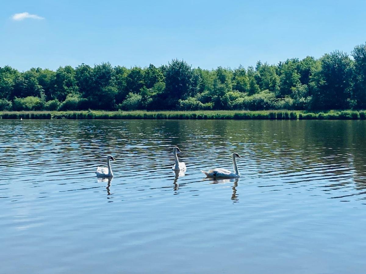 Stilvolles Mit Saunazugang